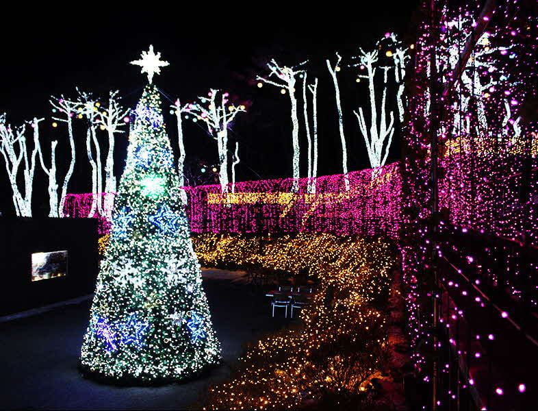 단양 가볼만한 곳, 숨은 명소