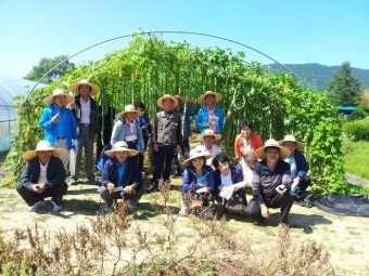 박 재배 직파 심기 순 따기 말림 보관_12