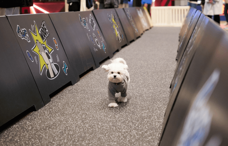 제주도 4월 축제 일정 총정리