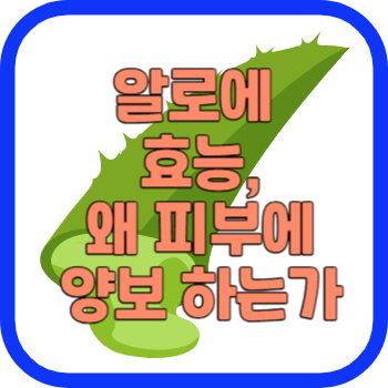 알로에 효능, 왜 피부에 양보 하는가