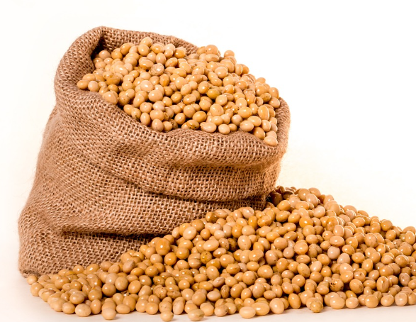 낫또란 무엇인가?