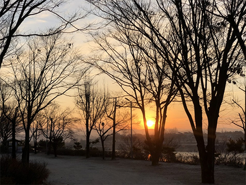 신륵사4