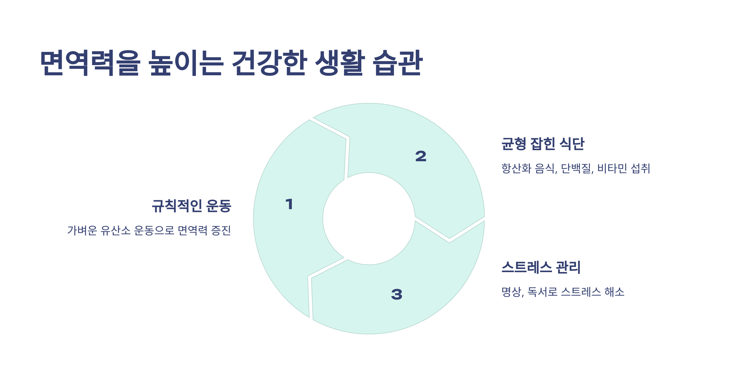 면역력을 높이는 건강한 생활 습관