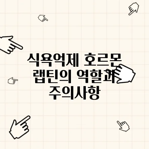 식욕억제 호르몬 랩틴의 역할과 주의사항