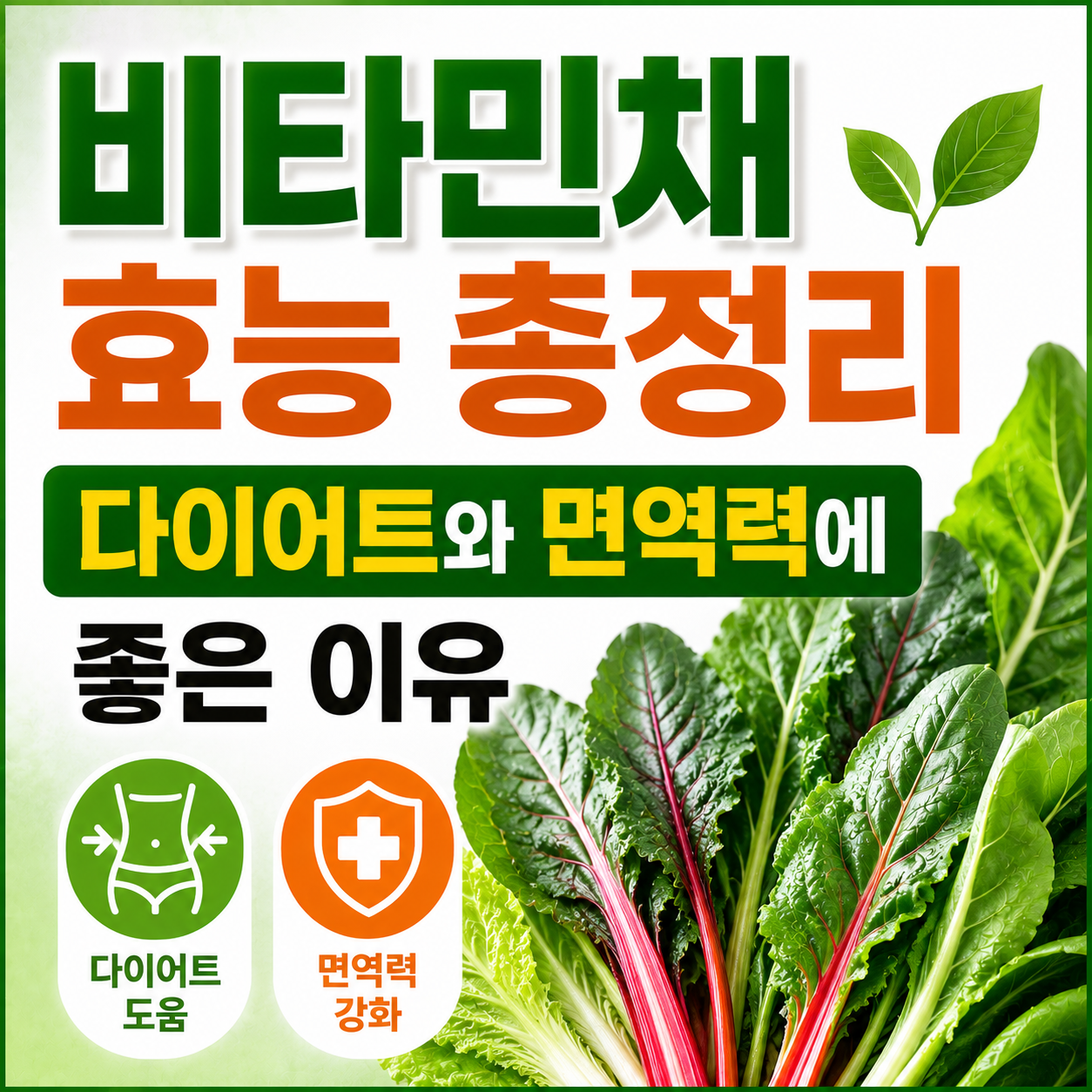 비타민채 효능
