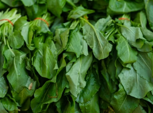 3월 제철 요리 추천: 봄동의 달큰함과 바지락의 시원함이 만난 인생 된장국 만들기