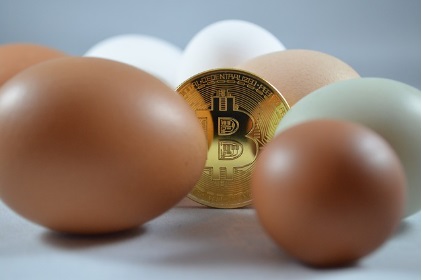 도지코인 시세 전망 도지파더 일론머스크