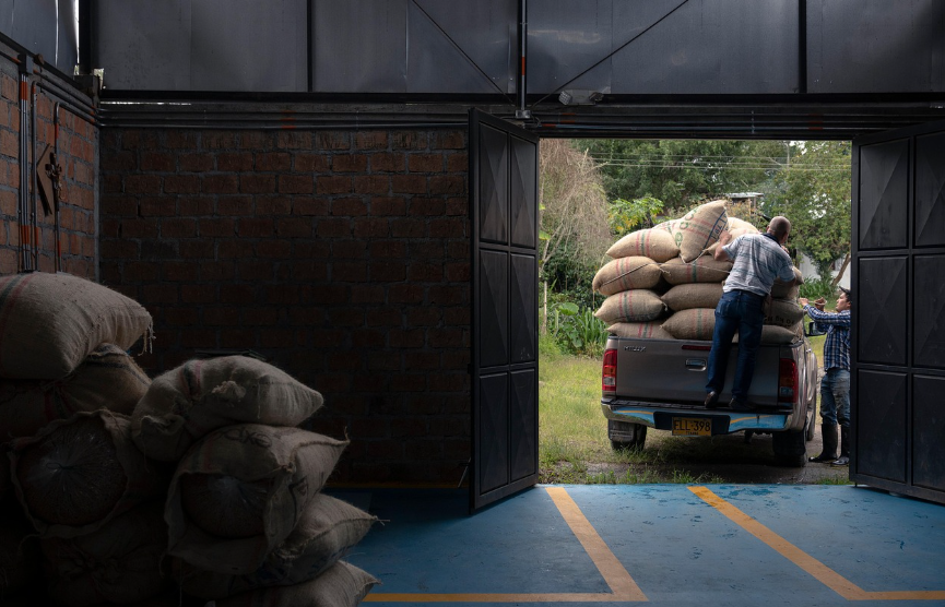 귀촌 시니어 창업