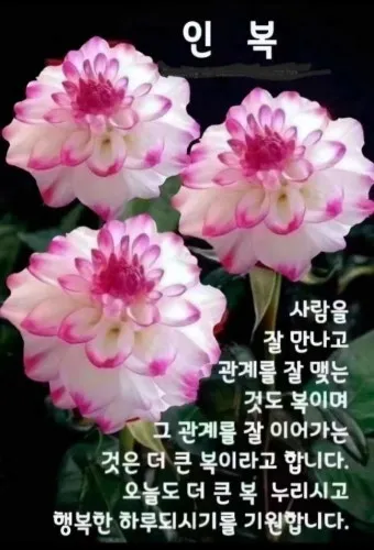 화요일 아침 인사말 좋은 글 9월 가을 이미지들_29