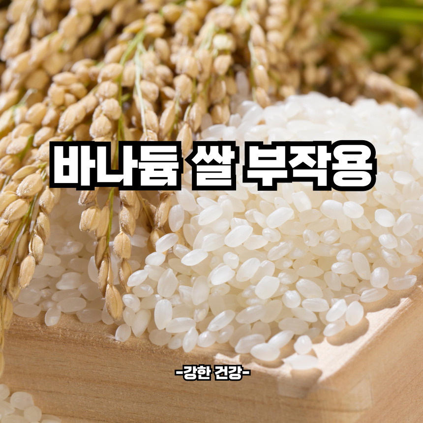 바나듐 쌀 부작용