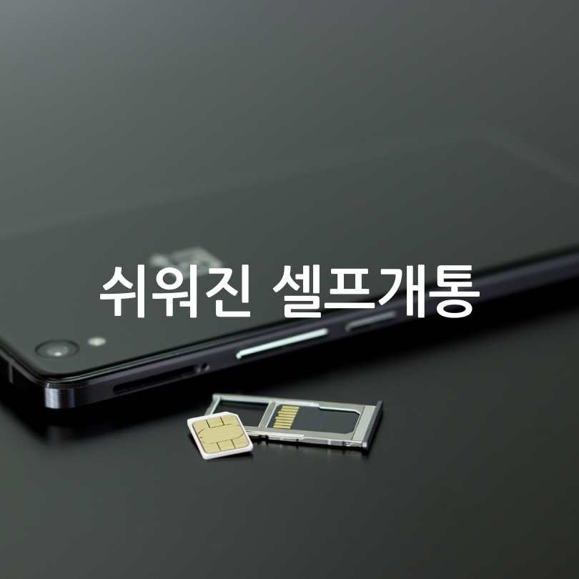 SKT e심 셀프개통과 유심포맷