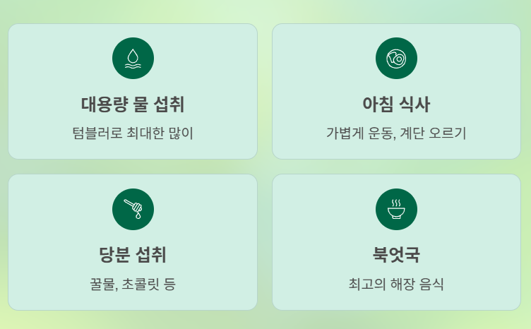 직장인을 위한 과학적 숙취 관리 완벽 가이드