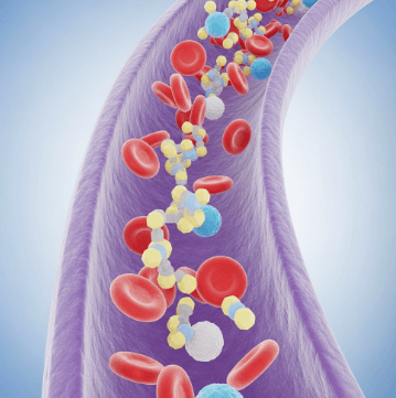 혈당 스파이크 증상 및 예방법2