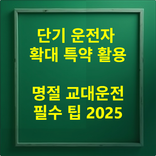 현대해상 단기운전자 법인차량