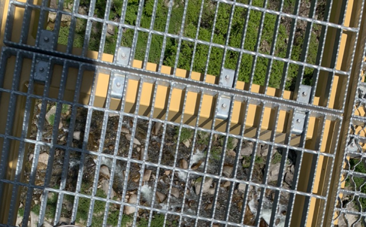 거창 수승대 출렁다리