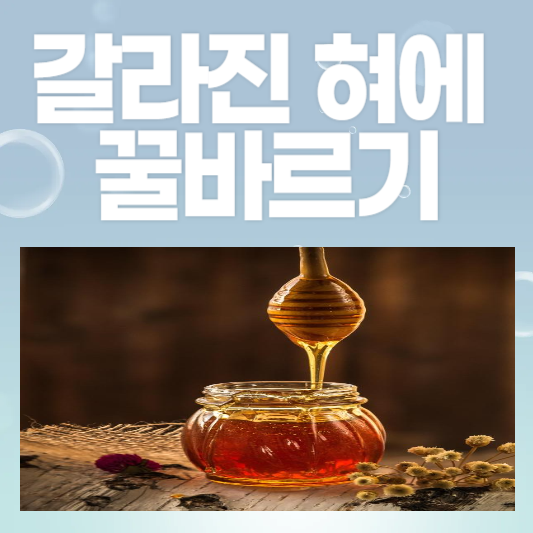 갈라진 혀에 꿀 바르기