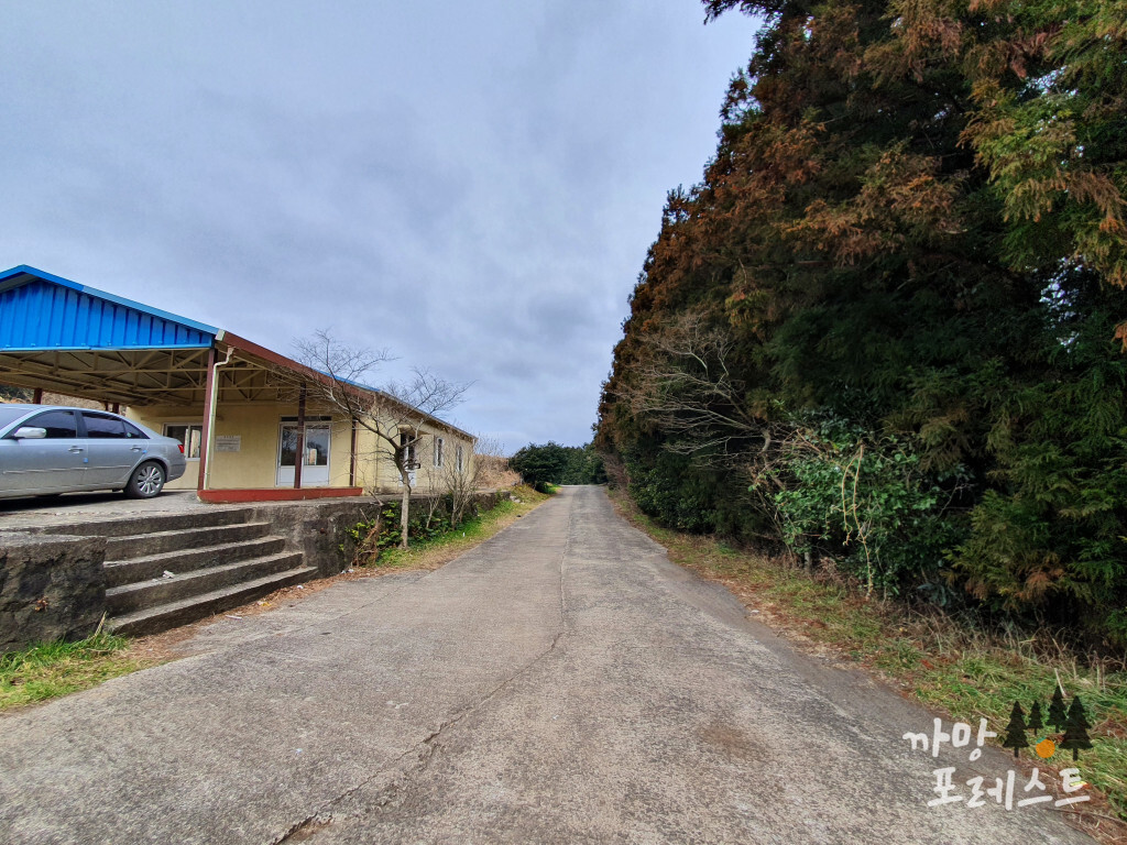 높은 오름 가는길