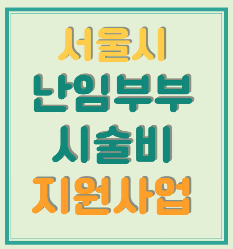 서울시 최신 난임부부 시술비 지원사업