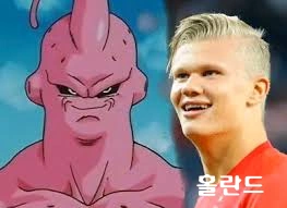 엘링 홀란드 