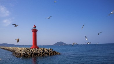 겨울철 국내 여행지