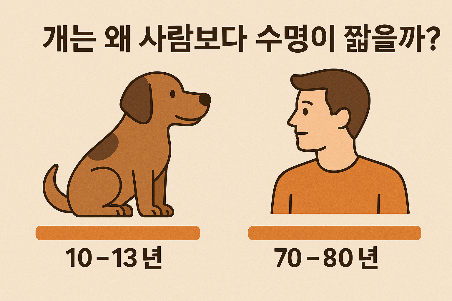 개는 왜 사람 보다 수명이 짧을까? 이미지