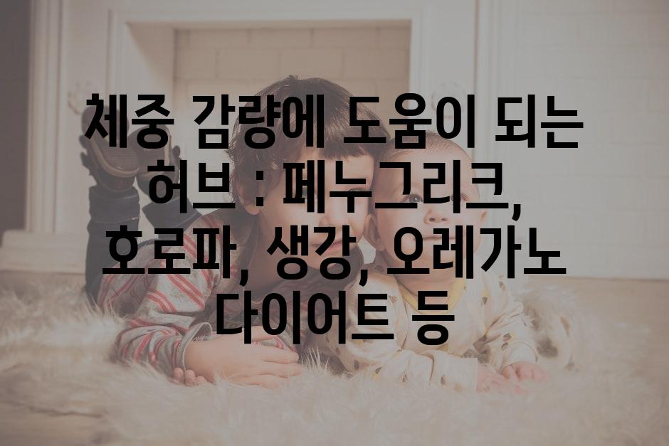 샘플 (27)