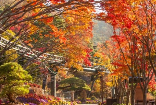 화담숲 이미지