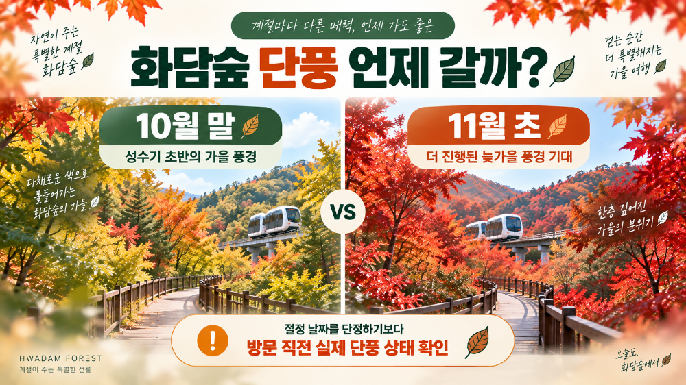 화담숲 단풍 10월 말 11월 초 방문 날짜 선택 가이드