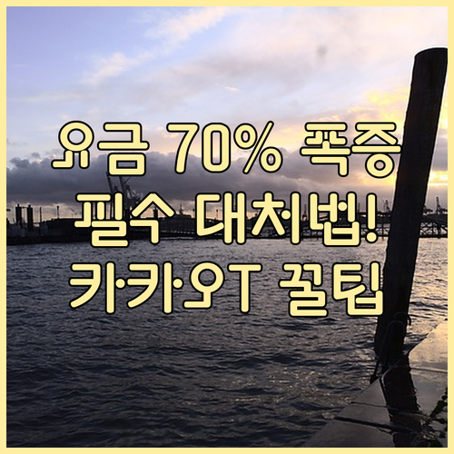 연말 카카오 T 택시 요금 최대 70..