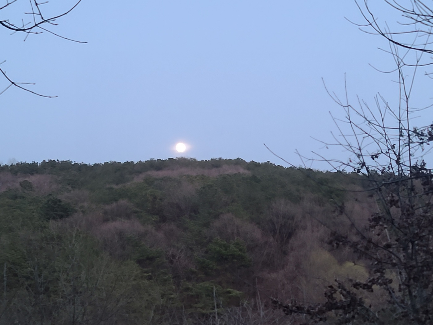 초막골생태공원을 걸으면서 본 보름달
