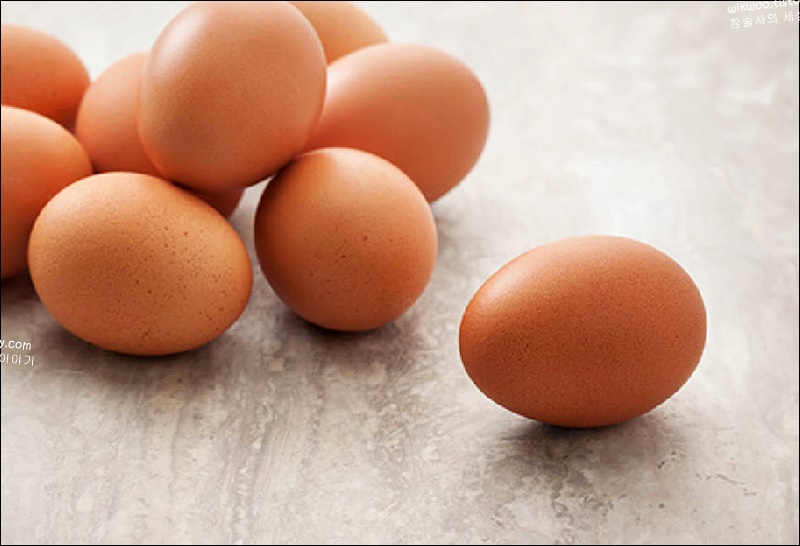 계란