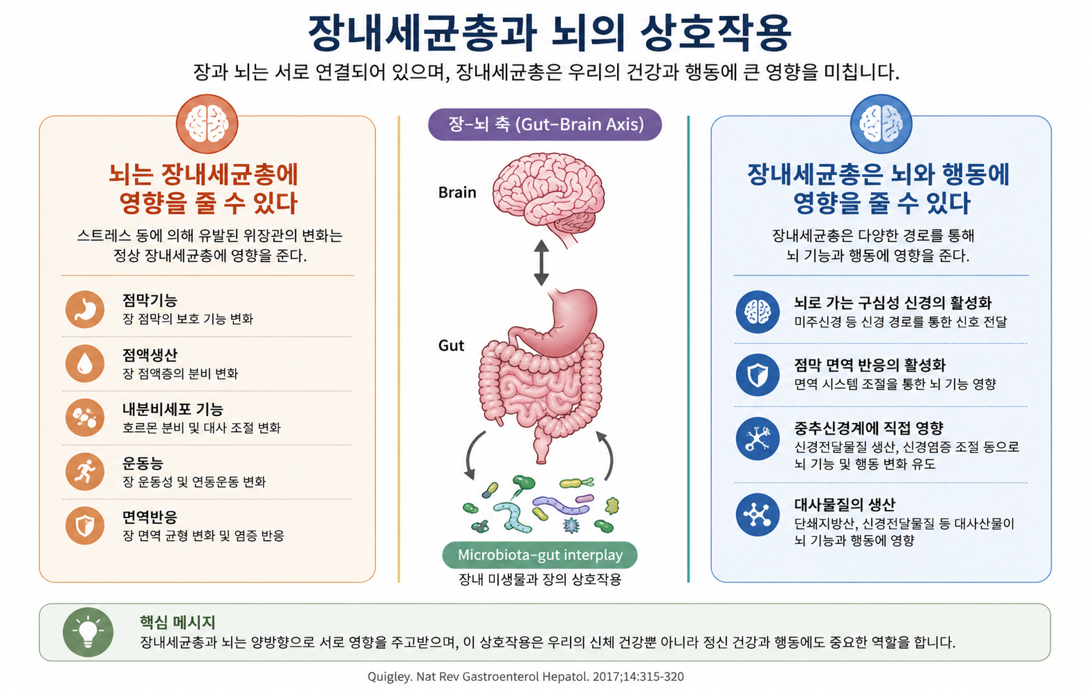 장뇌축 이론 시각화 자료