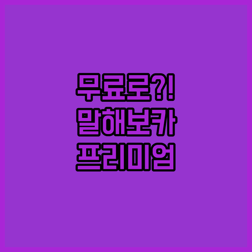비용 부담 없이 말해보카 프리미엄 누..