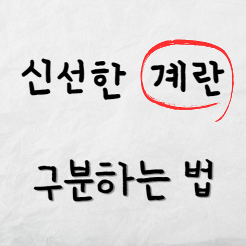 신선한-계란-구별방법