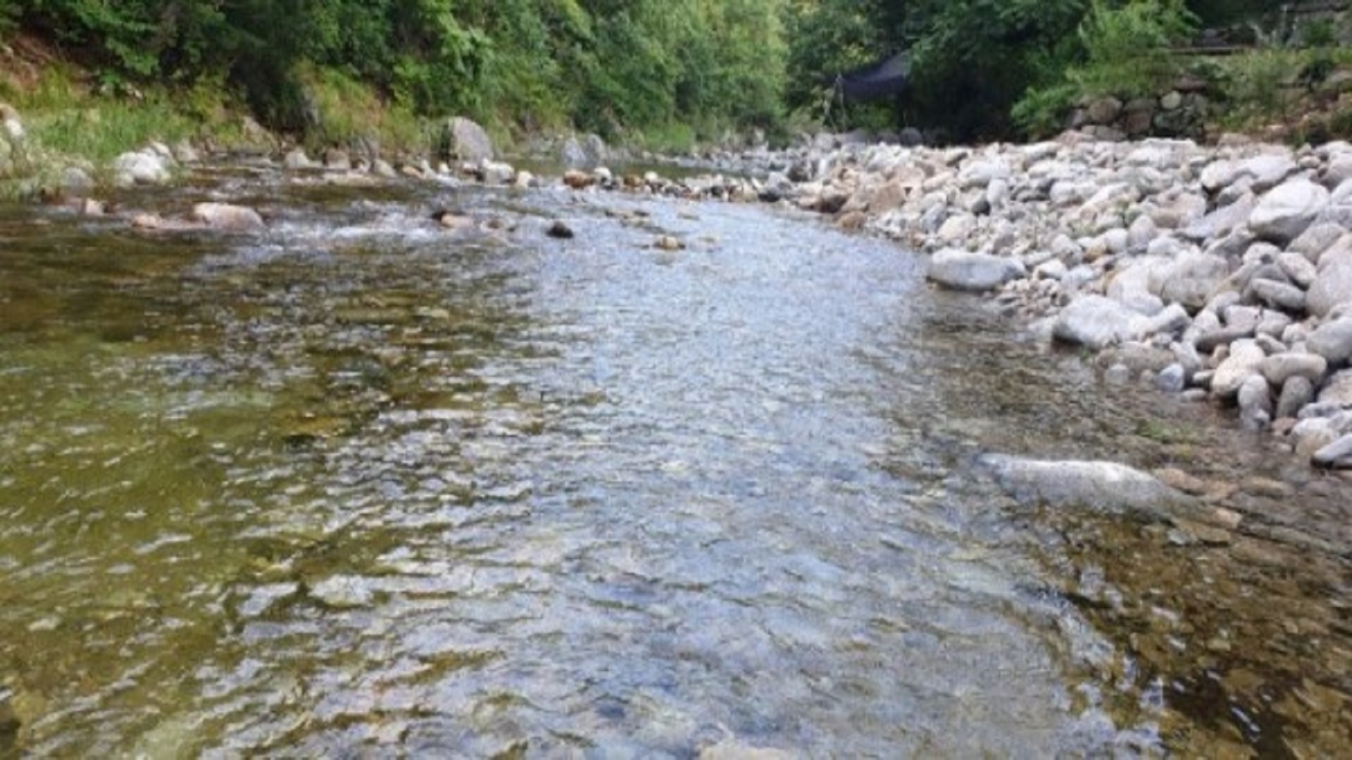 강릉시 진고개 계곡 야영장 바로가기