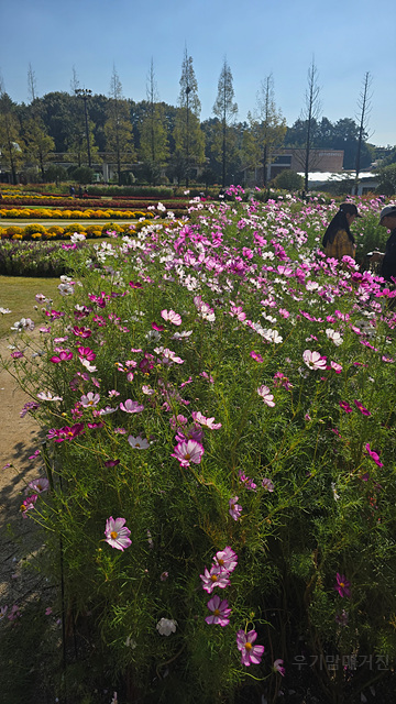 2025 순천만 국가정원 순천여행 맛집 현지인 추천 맛집 순천만 숙박