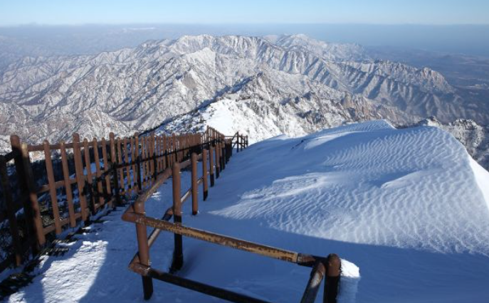 1월 강원도 가볼만한곳 ❘ 국내 겨울 갈만한곳 새해 여행지 추천 ❘ 데이트 여행 가족 실내 나들이 당일치기