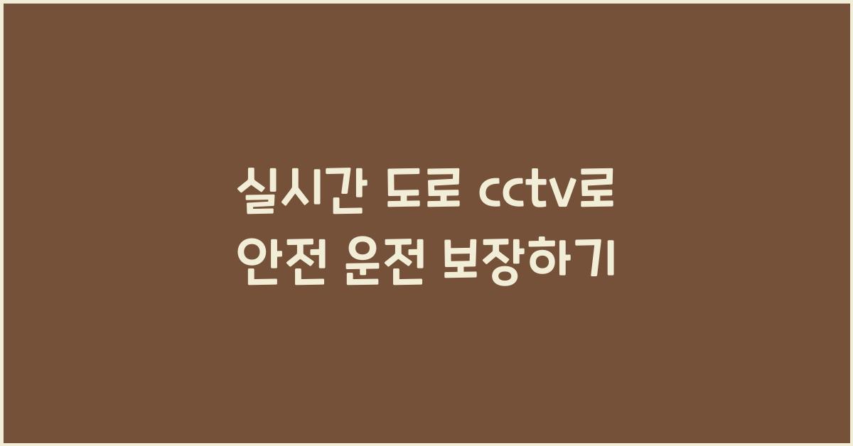 실시간 도로 cctv