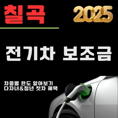 썸네일_칠곡 전기차 보조금 혜택 2025년 (차종별 한도, 지급대상 차종, 다자녀 인센티브)
