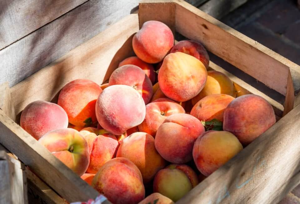 7월 전국축제 일정표