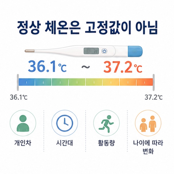 정상 체온은 하나의 숫자로 고정되지 않고 개인차와 시간대, 활동량에 따라 약간 달라질 수 있음을 표현한 이미지