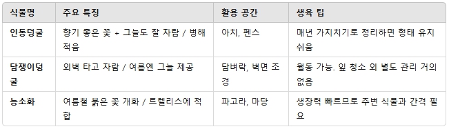 덩굴성 식물
