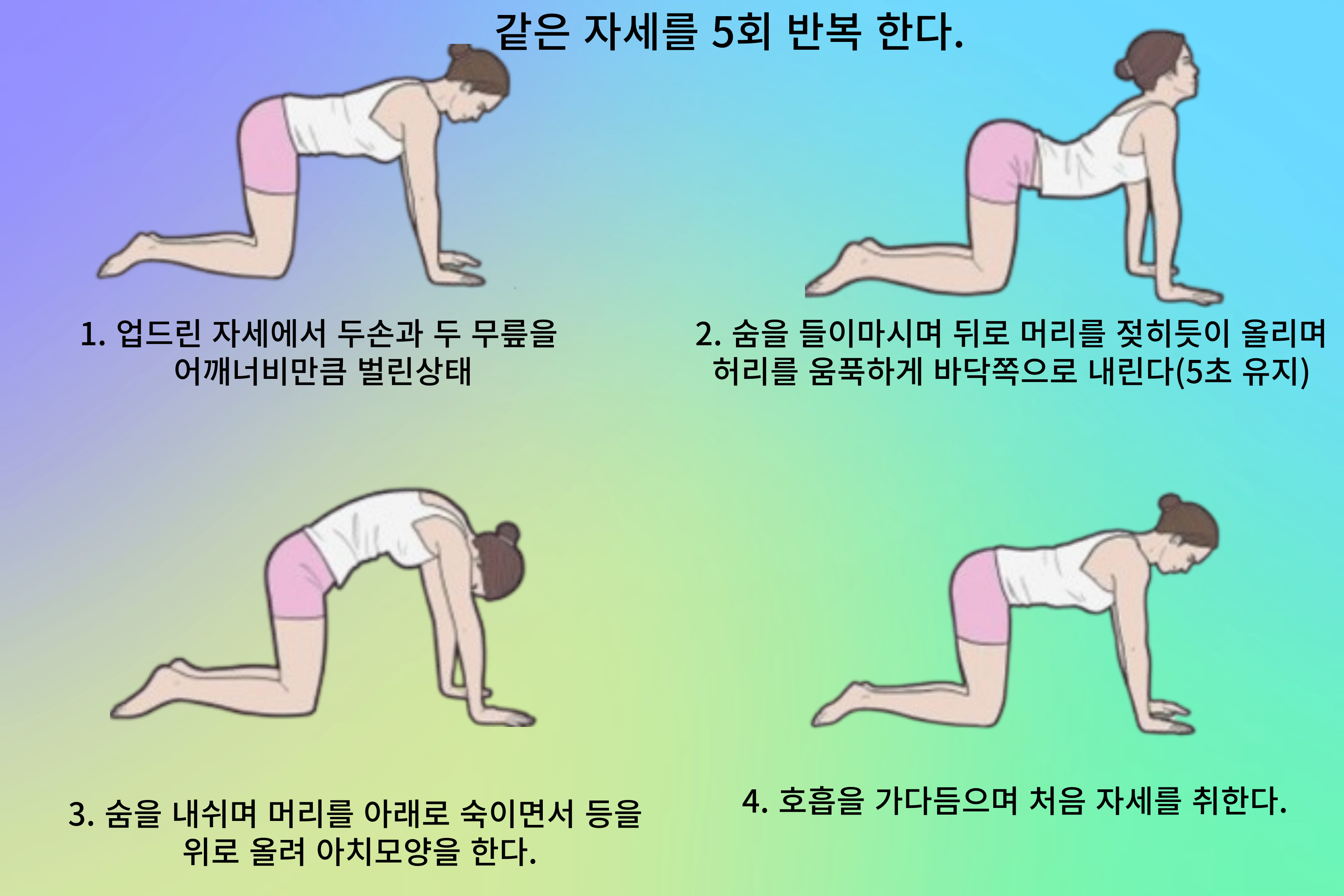 고양이 자세