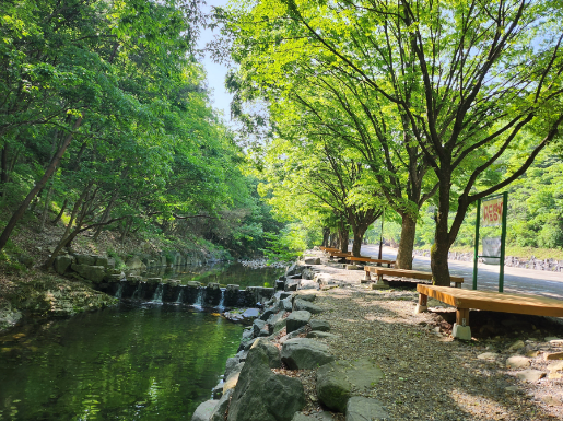 대전 근교 계곡 평상 물놀이 남이자연휴양림 금산산림문화타운(출처-홈페이지)
