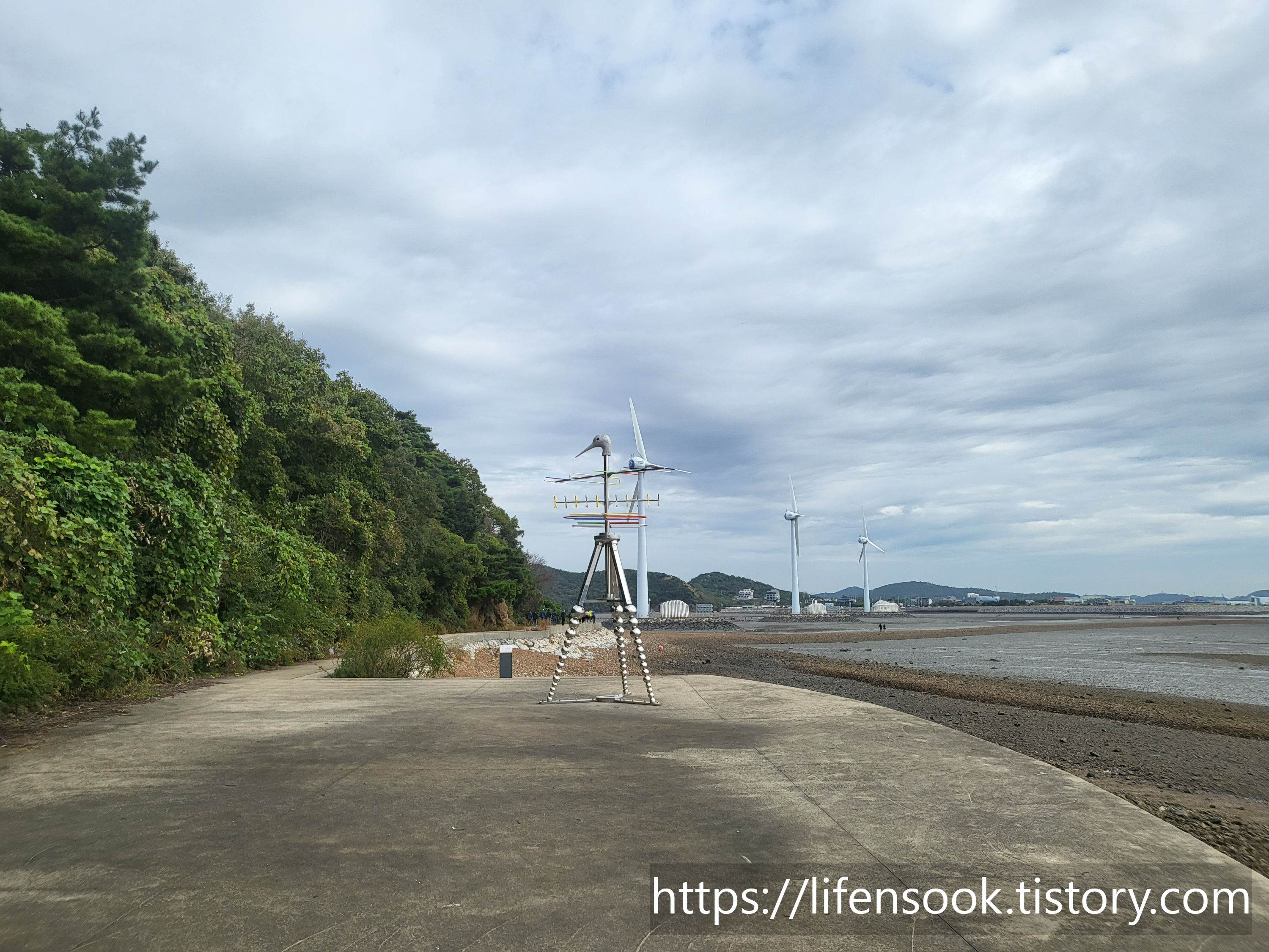 안테나 새 / 2020 민성홍 1