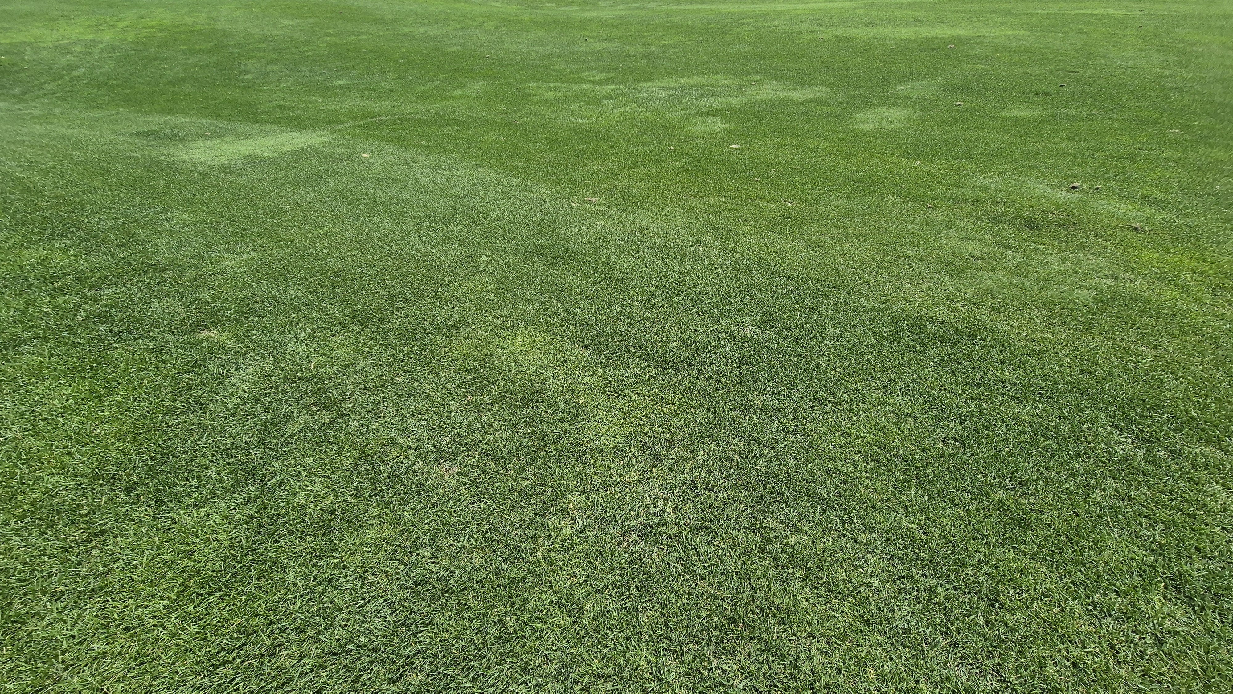 오너스gc 라운드 후기