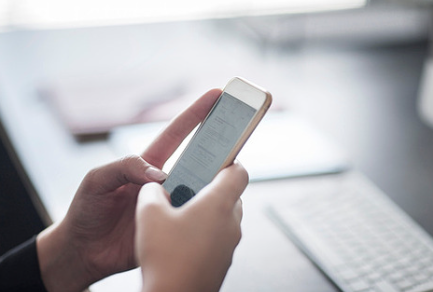 의성 산수유 축제