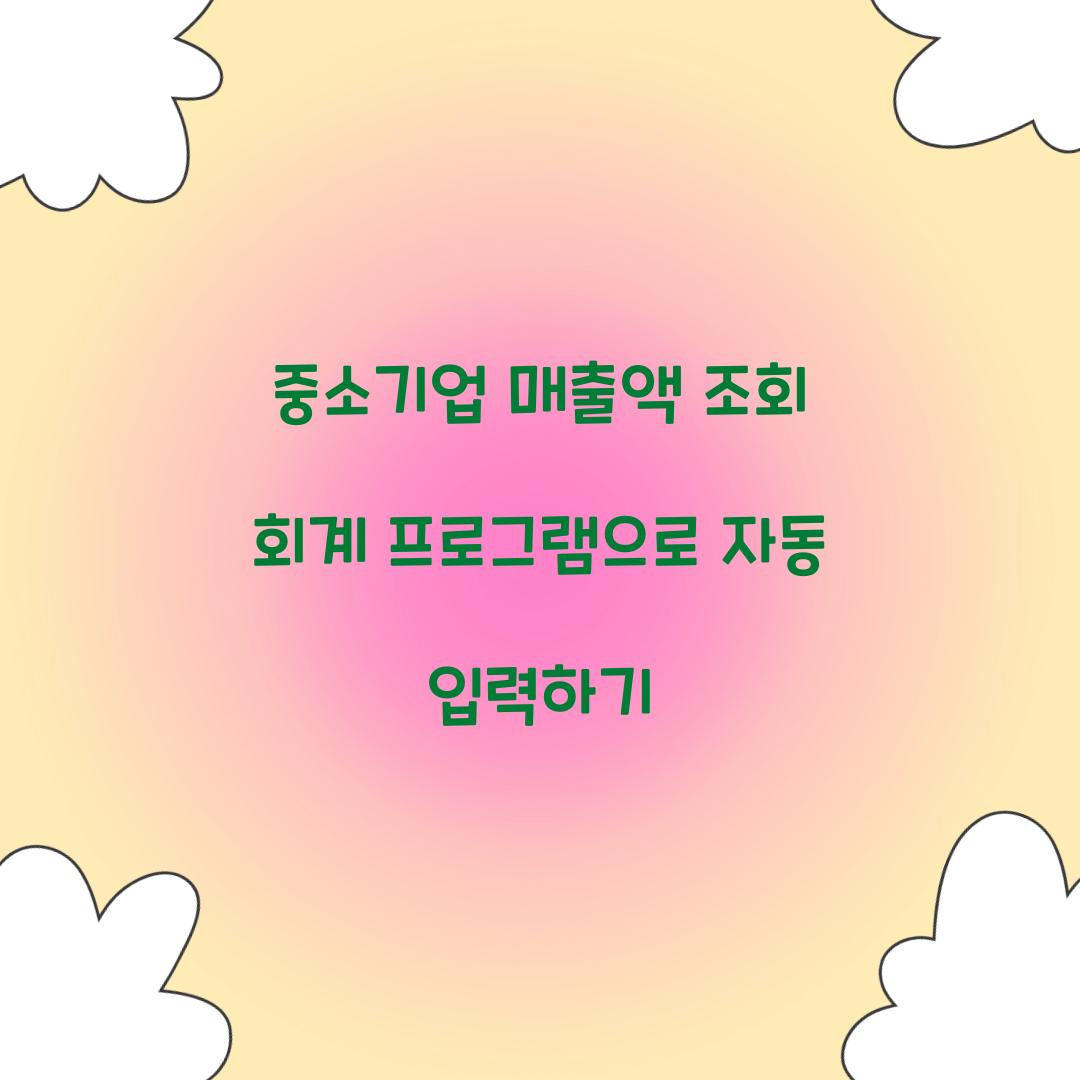 중소기업 매출액 조회 회계 프로그램으로 자동 입력하기