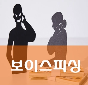 보이스피싱 