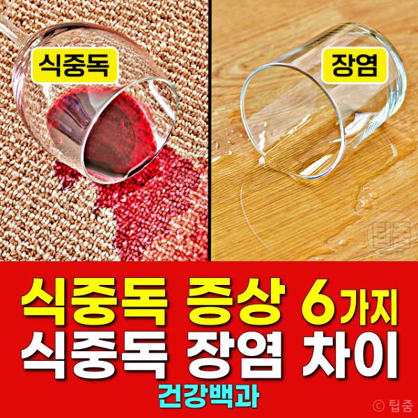 식중독 증상 식중독 장염 차이